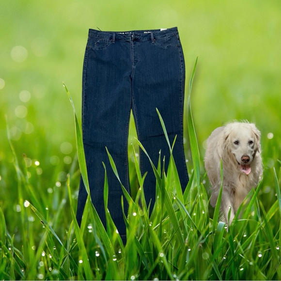 Laurie Felt Los Angeles Silky Flare with Vital Stretch Technology Jeans - Picture 14 of 15